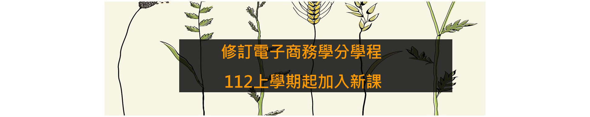 pdf，1121起更新「電子商務」學分學程課程計畫...